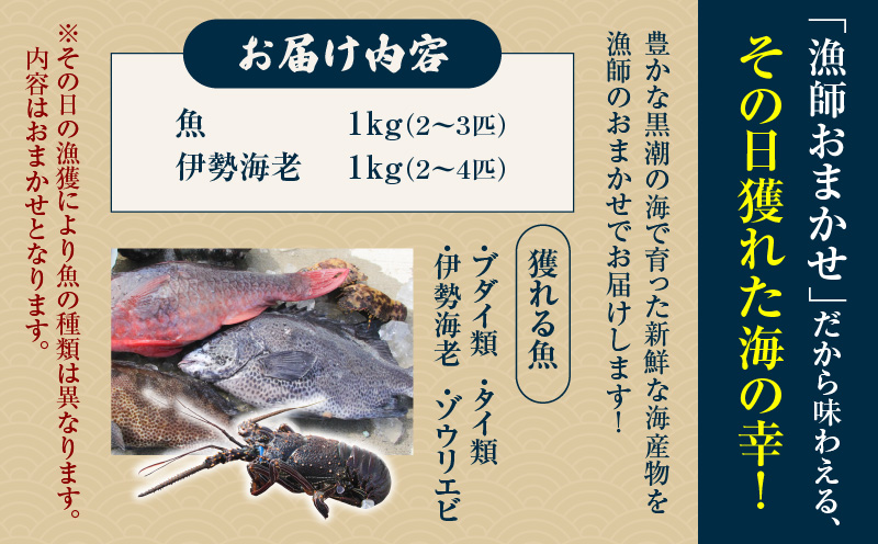 邏貎懊j貍∝クォMAKOTO縺ョ隱縺ォ鄒主袖縺励>豬キ魄ョ縺翫∪縺九○繧サ繝繝 2kg縲C074-002