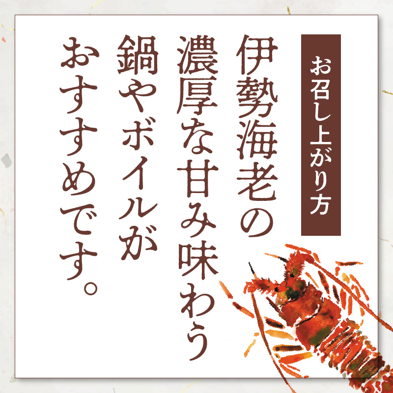 豐匁ーク濶ッ驛ィ蟲カ 螟ゥ辟カ繧、繧サ繧ィ繝3kg繝サ繧ス繝繧、繧ォ3kg縲C010-019