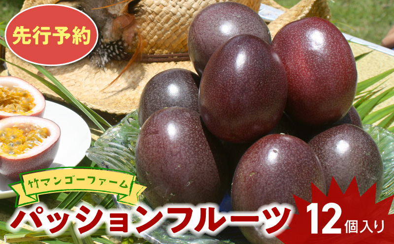 【2026年先行予約】竹マンゴーファーム パッションフルーツ（12個入り）　C039-001