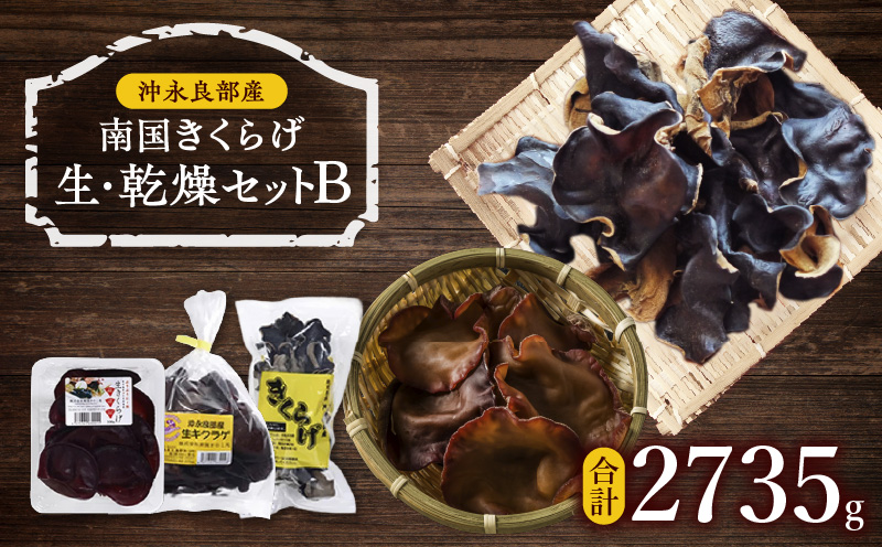 南国きくらげ 生・乾燥セットB　C070-003