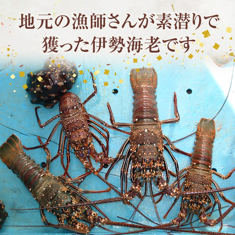 沖永良部島 天然イセエビ 2kg・ソデイカ 1kg　C010-016