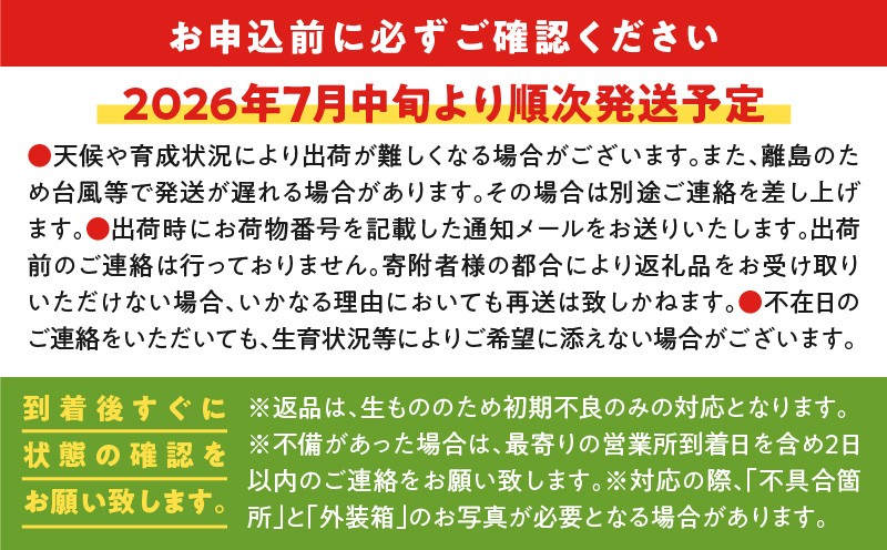 【2026年先行予約】竹マンゴーファームのプレミアム完熟マンゴー2キロ（大玉4個入り）　C039-007