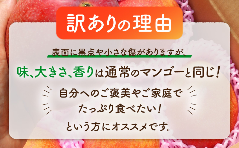 【2025年先行予約】ファーム白川の完熟マンゴー 訳あり2kg　C032-001