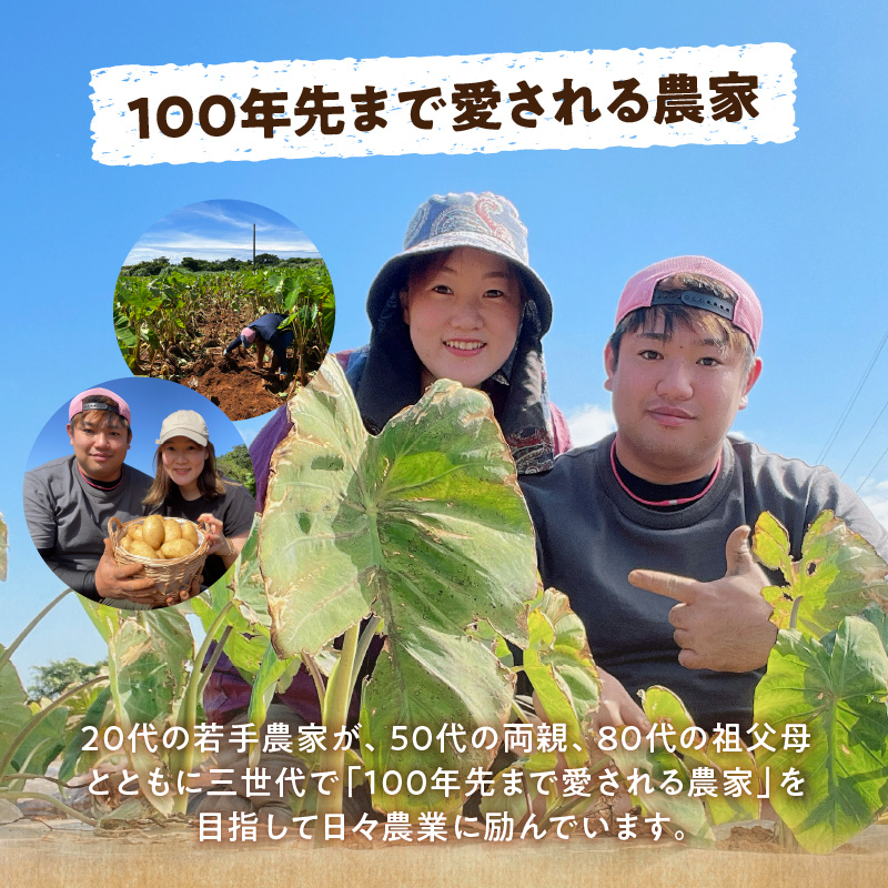 【2025年先行予約】新鮮おいしい！里芋（石川早生丸）2kg 5月お届け　C056-001