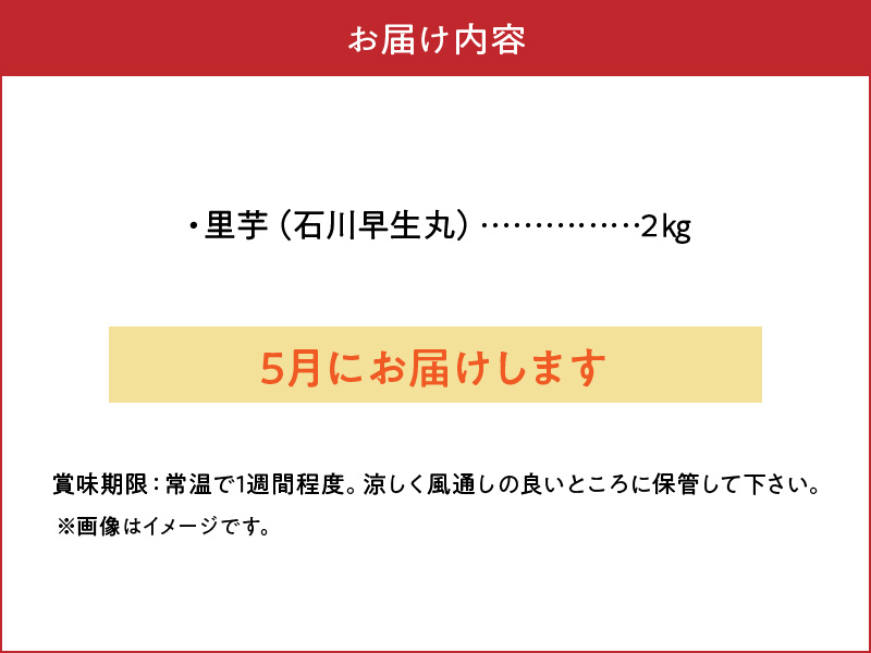 【2025年先行予約】新鮮おいしい！里芋（石川早生丸）2kg 5月お届け　C056-001