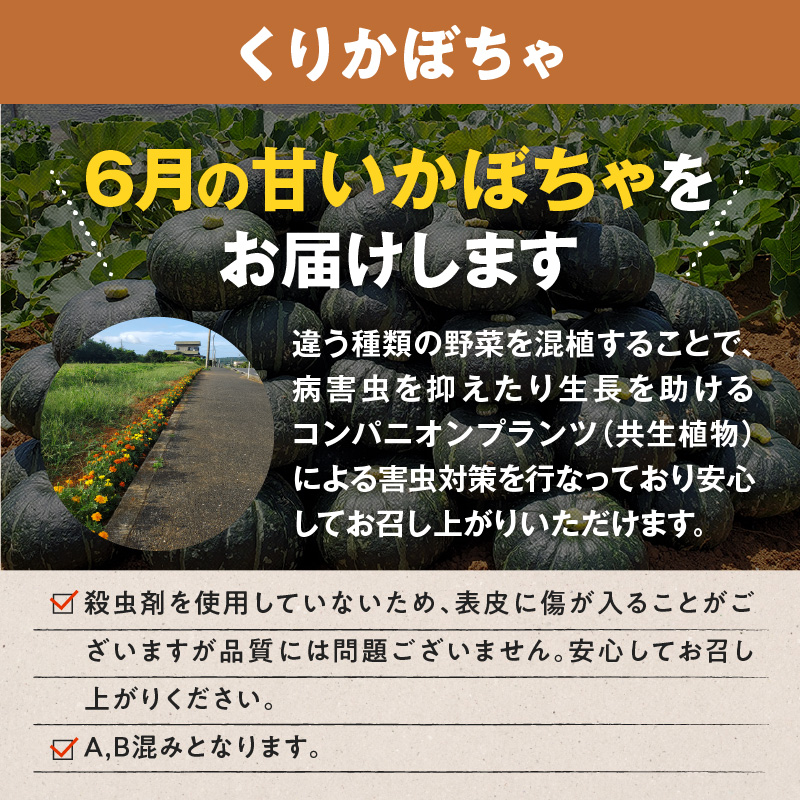 【2026年先行予約】前原さんの特選 じゃがいも メークイン 8kg＆くりかぼちゃ 2玉　C062-T05