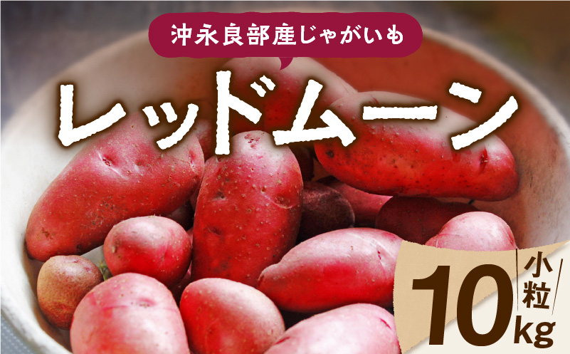 【2025年先行予約】沖永良部産じゃがいも『レッドムーン』小粒サイズ10kg　C065-002-02