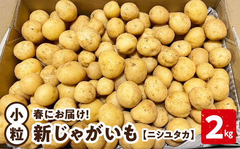 【2026年先行予約受付中】新じゃがいも ニシユタカ 小粒 2kg＜3月お届け＞　C056-007