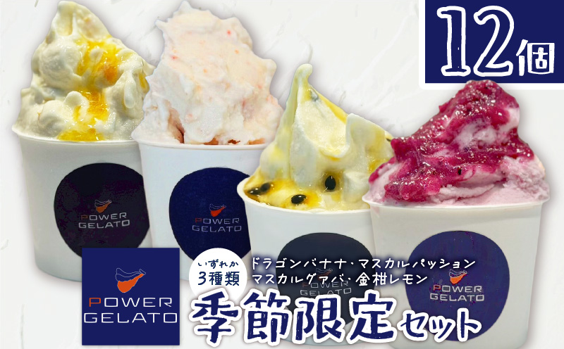 POWER GELATO（季節限定セット12個入り）　C073-003-02