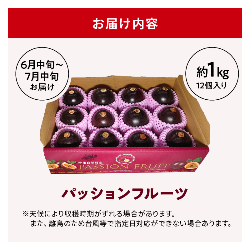 【2026年先行予約】竹マンゴーファーム パッションフルーツ（12個入り）　C039-001