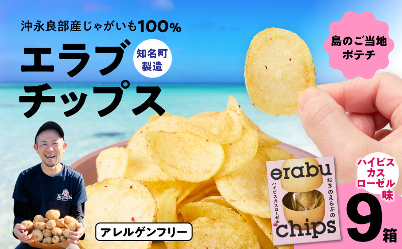 erabu chips（ハイビスカスローゼル） 9箱セット　C068-003-09