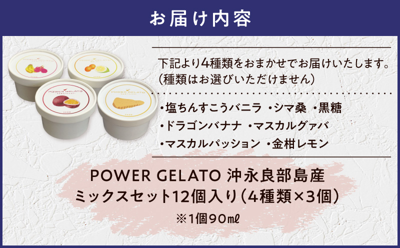 POWER GELATO（ミックスセット12個入り）　C073-004-02