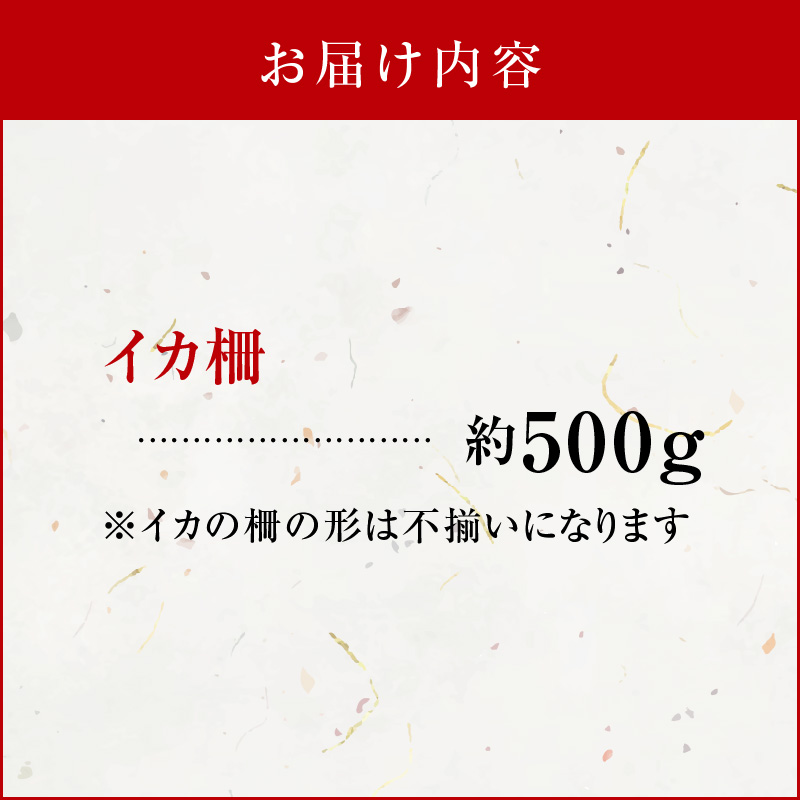 沖永良部島 イカの王様！ソデイカ 500g　C010-022