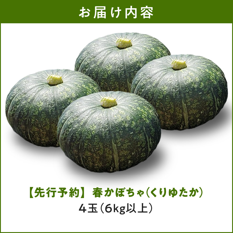 【2025年先行予約】春かぼちゃ（くりゆたか）4玉（6kg以上）　C062-003-02