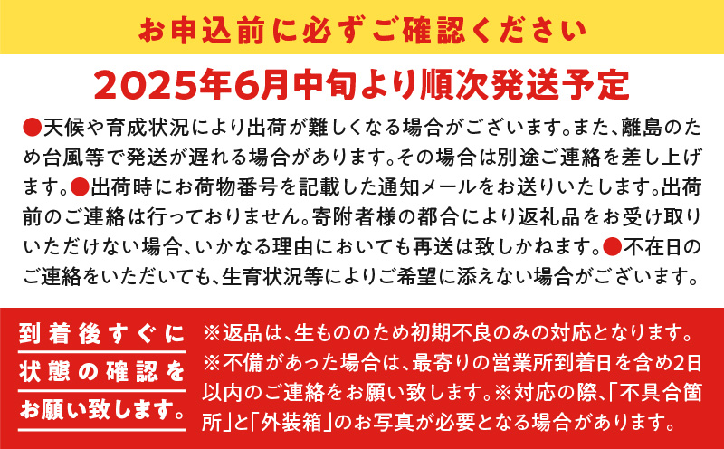 【2025年先行予約】紫の宝石！ファーム白川のパッションフルーツ 12個　C032-004