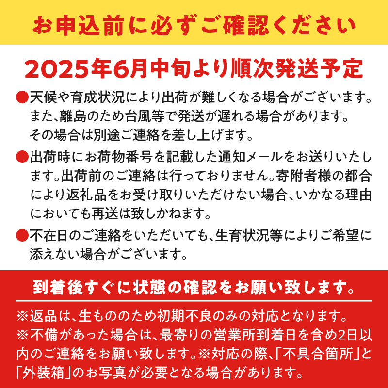 【2025年先行予約】ふじ農園のパッションフルーツ 12個入　C031-004