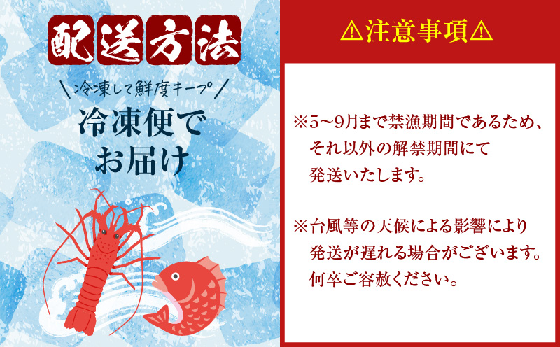 邏貎懊j貍∝クォMAKOTO縺ョ隱縺ォ鄒主袖縺励>豬キ魄ョ縺翫∪縺九○繧サ繝繝 2kg縲C074-002