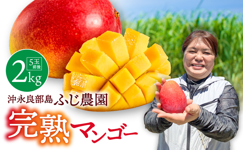 【2026年先行予約】ふじ農園の完熟マンゴー 2kg　C031-002