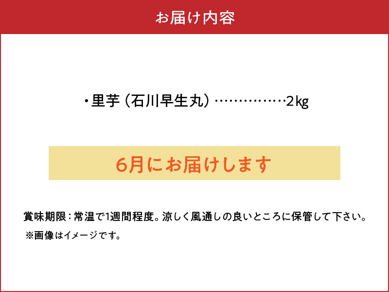 【2026年先行予約】新鮮おいしい！里芋（石川早生丸）2kg 6月お届け　C056-001