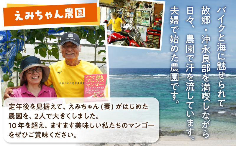 【2026年先行予約】えみちゃん農園の完熟マンゴー1キロ（2〜3個入り）　C008-006