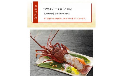 沖永良部島産！天然の伊勢えび 2kg（4〜6匹）　C034-004