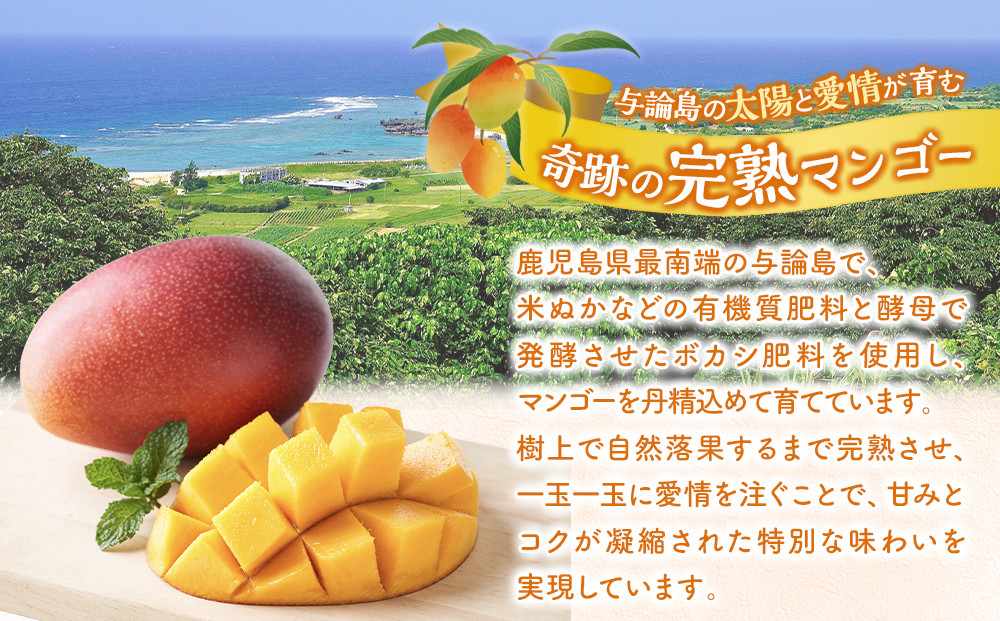 ãæ°ééå®ã鹿å
å³¶ äžè«å³¶ã¢ããã«ãã³ãŽãŒç¹Aç§å倧çïŒåçŽ2kgåç²§ç®±å
¥ããå
è¡äºçŽã