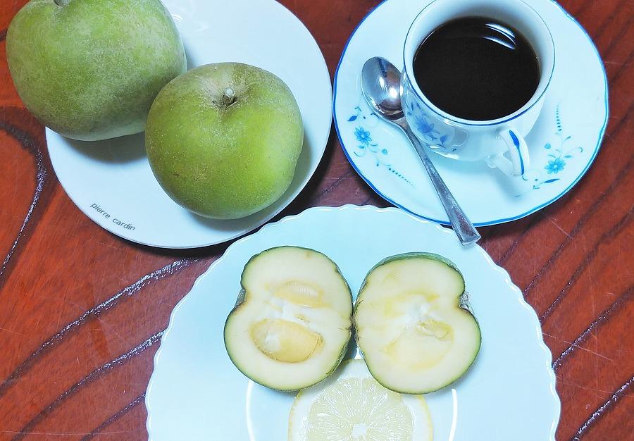 ãå
è¡äºçŽãåžå°ïŒããŸïœãååœã®ãªã³ãŽããã¯ã€ããµããã1kgïŒ3ïœ6åïŒ