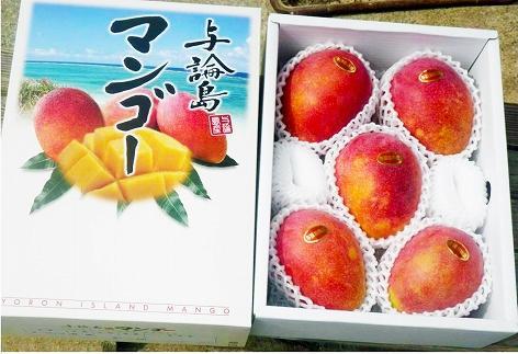 【2026年7月下旬より発送】【先行予約】平均糖度13度以上！アップルマンゴー約2kg（4~5玉）