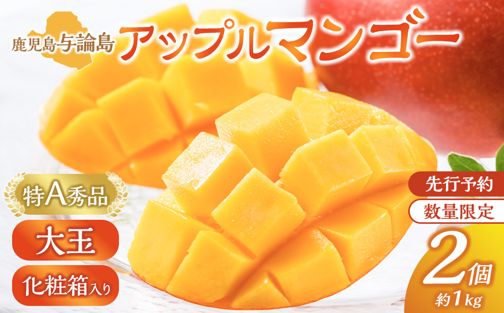 【数量限定】鹿児島 与論島アップルマンゴー特A秀品大玉２個約１キロ 化粧箱入り【先行予約】