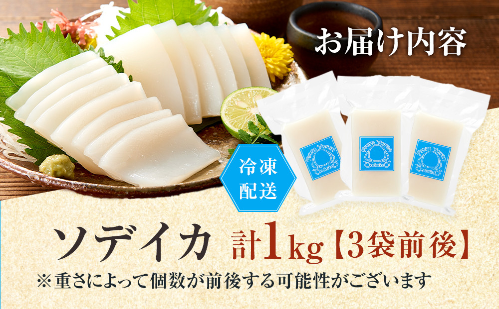 ヨロン島特産☆あま～いソデイカ 1kgセット