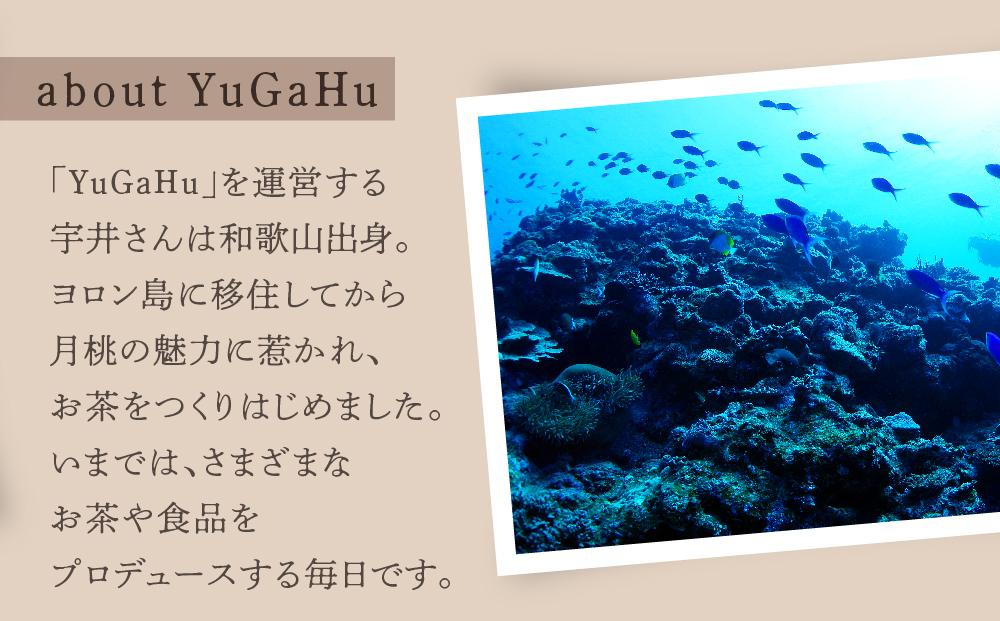 【与論島産】　よろんの恵み（小） パパイヤと月桃