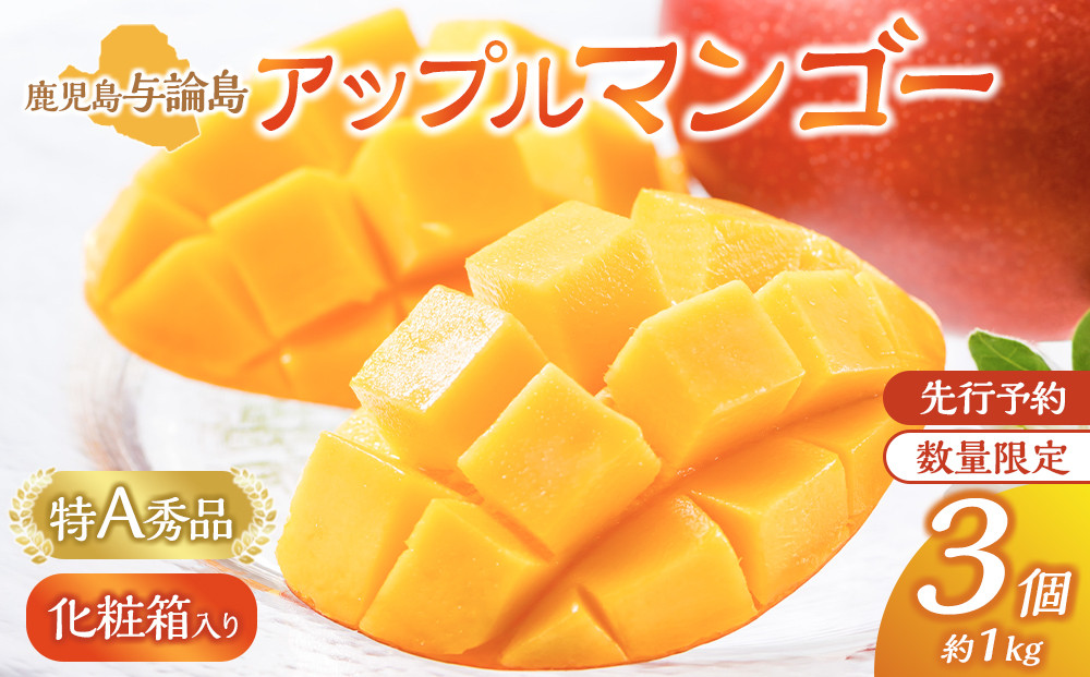 【数量限定】鹿児島 与論島アップルマンゴー特A秀品３個約１kg 化粧箱入り【先行予約】