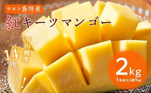 【2026年8月中旬より発送】【先行予約】1玉で1kg前後！糖度14度！『紅』キーツマンゴー約2kg（2玉）