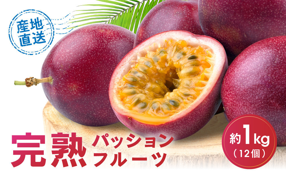 【2026年夏発送】パッションフルーツ (1kg12個入り化粧箱入) 2026年6月～出荷開始 リリコイ 南国フルーツ デザート 人気 鹿児島県  与論町
