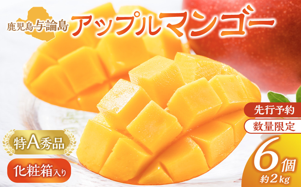 【数量限定】鹿児島 与論島アップルマンゴー特A秀品６個約2kg化粧箱入り【先行予約】