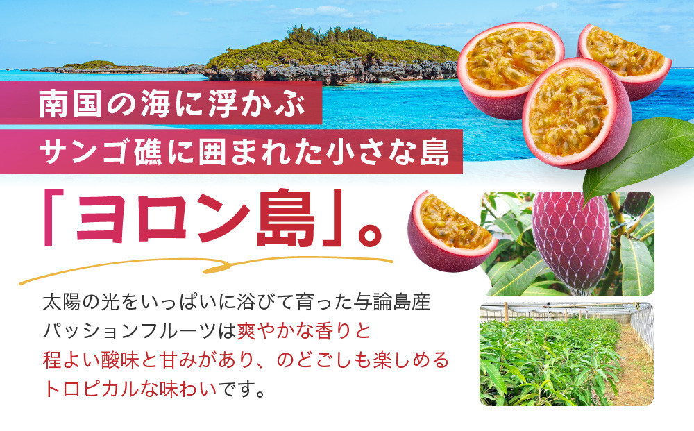 【2026年夏発送】パッションフルーツ (2kg24個入りバラ詰) 2026年6月～出荷開始 リリコイ 南国フルーツ デザート 人気 鹿児島県  与論町