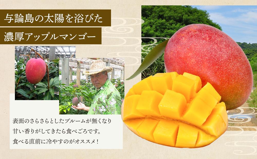 【2026年7月下旬より発送】【先行予約】平均糖度13度以上！アップルマンゴー約2kg（4~5玉）