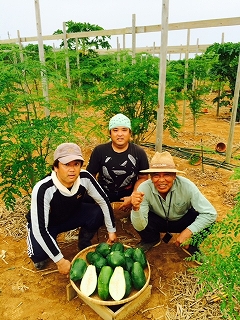 繧ゅj繧薙′繧√sシ5譚滂シ会シ繝「繝ェ繝ウ繧ャ闌カ繧サ繝繝