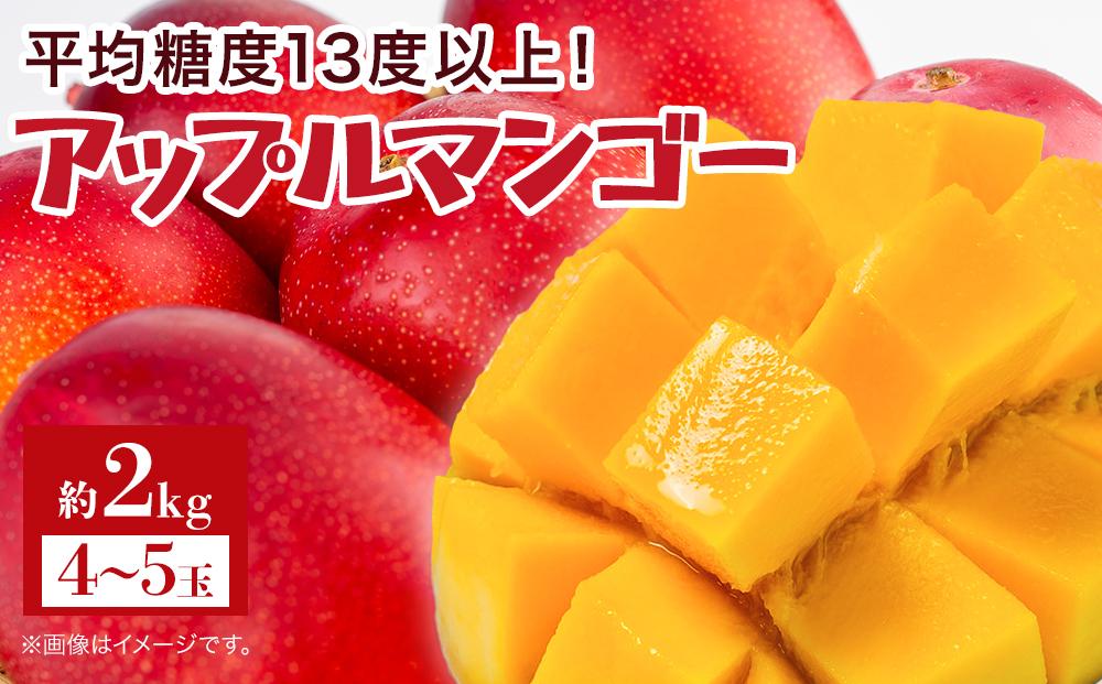 【2026年7月下旬より発送】【先行予約】平均糖度13度以上！アップルマンゴー約2kg（4~5玉）
