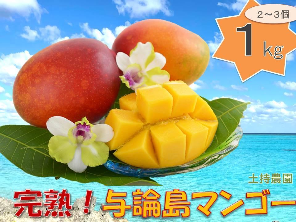 「2025夏発送」★厳選★ 完熟 与論島マンゴー １kg（2～3個）【数量限定】【産地直送】【先行予約】