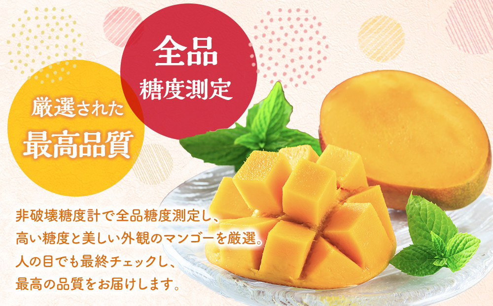 ãæ°ééå®ã鹿å
å³¶ äžè«å³¶ã¢ããã«ãã³ãŽãŒç¹Aç§åïŒåçŽ2kg åç²§ç®±å
¥ããå
è¡äºçŽã