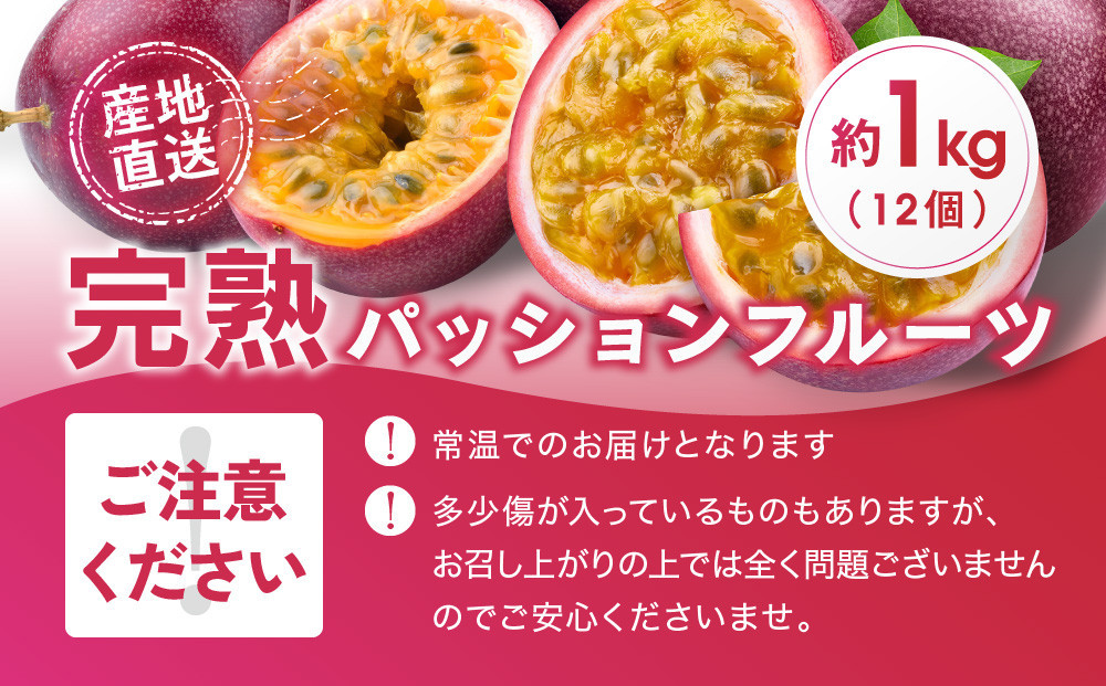 【2026年夏発送】パッションフルーツ (1kg12個入り化粧箱入) 2026年6月～出荷開始 リリコイ 南国フルーツ デザート 人気 鹿児島県  与論町