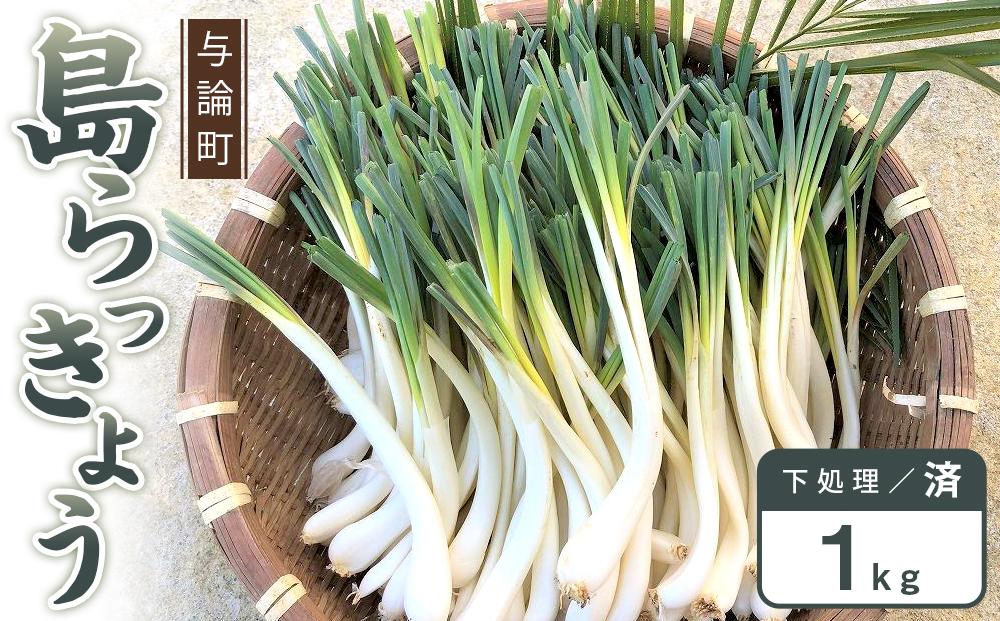 【先行予約】島らっきょう☆1kg(皮処理済)与論の味をご家庭で(令和7年4月から順次発送)