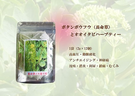 【180杯分！】無農薬ボタンボウフウと大崖石榴茶 （長命草とオオイタビハーブティー） 3袋セット