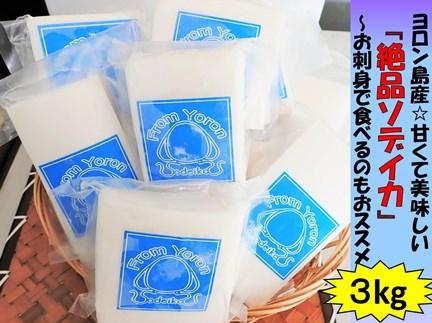 ヨロン島特産☆あま～いソデイカ 3kgセット