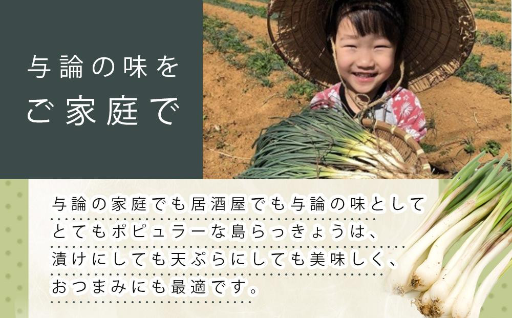 【令和8年3月頃発送】島らっきょう2ｋｇ(皮処理済）