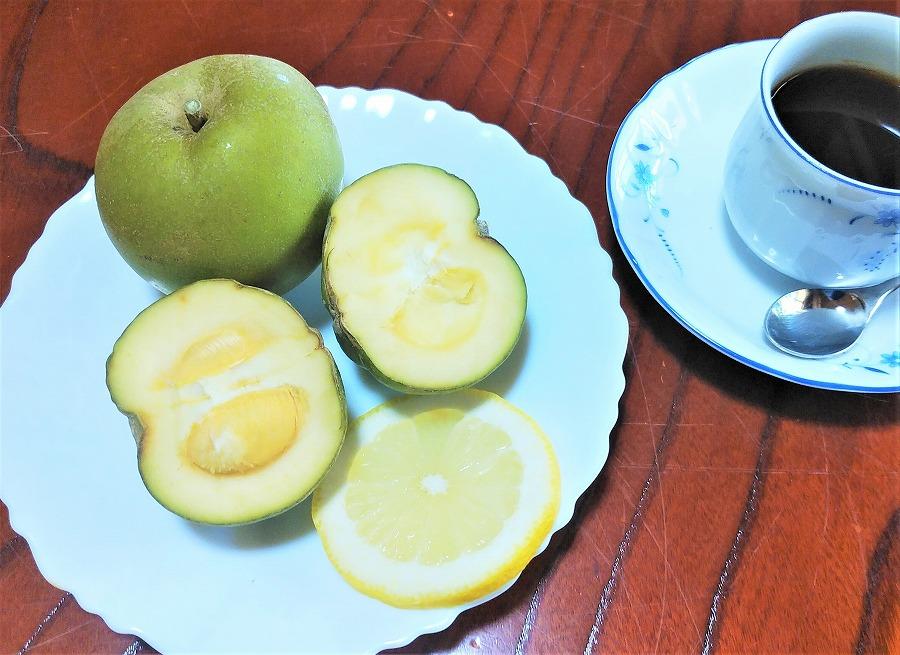 ãå
è¡äºçŽãåžå°ïŒããŸïœãååœã®ãªã³ãŽããã¯ã€ããµããã1kgïŒ3ïœ6åïŒ