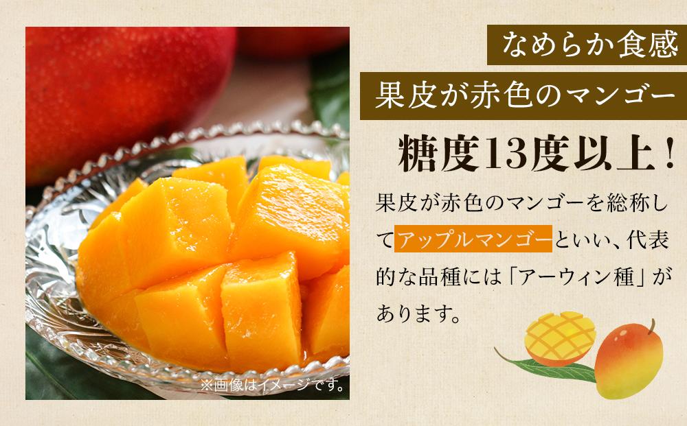 【2026年7月下旬より発送】【先行予約】平均糖度13度以上！アップルマンゴー約2kg（4~5玉）