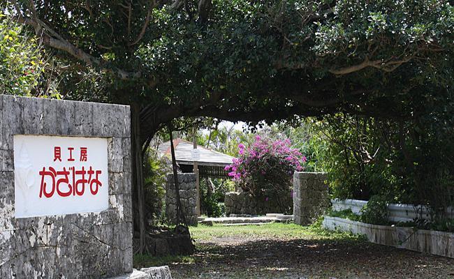 ローズコーラルを素材にした「コードペンダント」貝工房かざはな【CＫ-4】