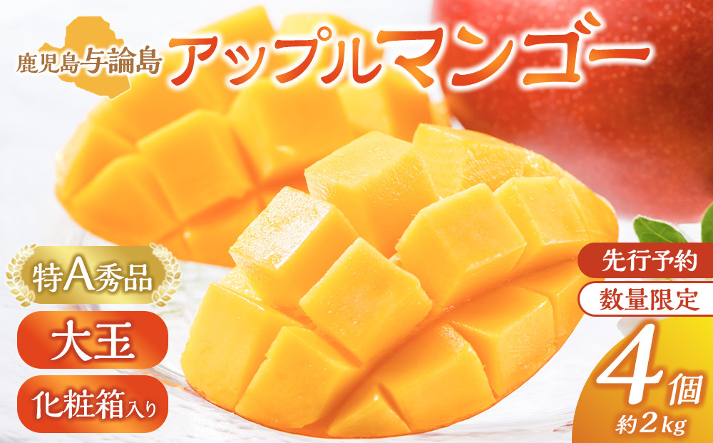 【数量限定】鹿児島 与論島アップルマンゴー特A秀品大玉４個約2kg化粧箱入り【先行予約】